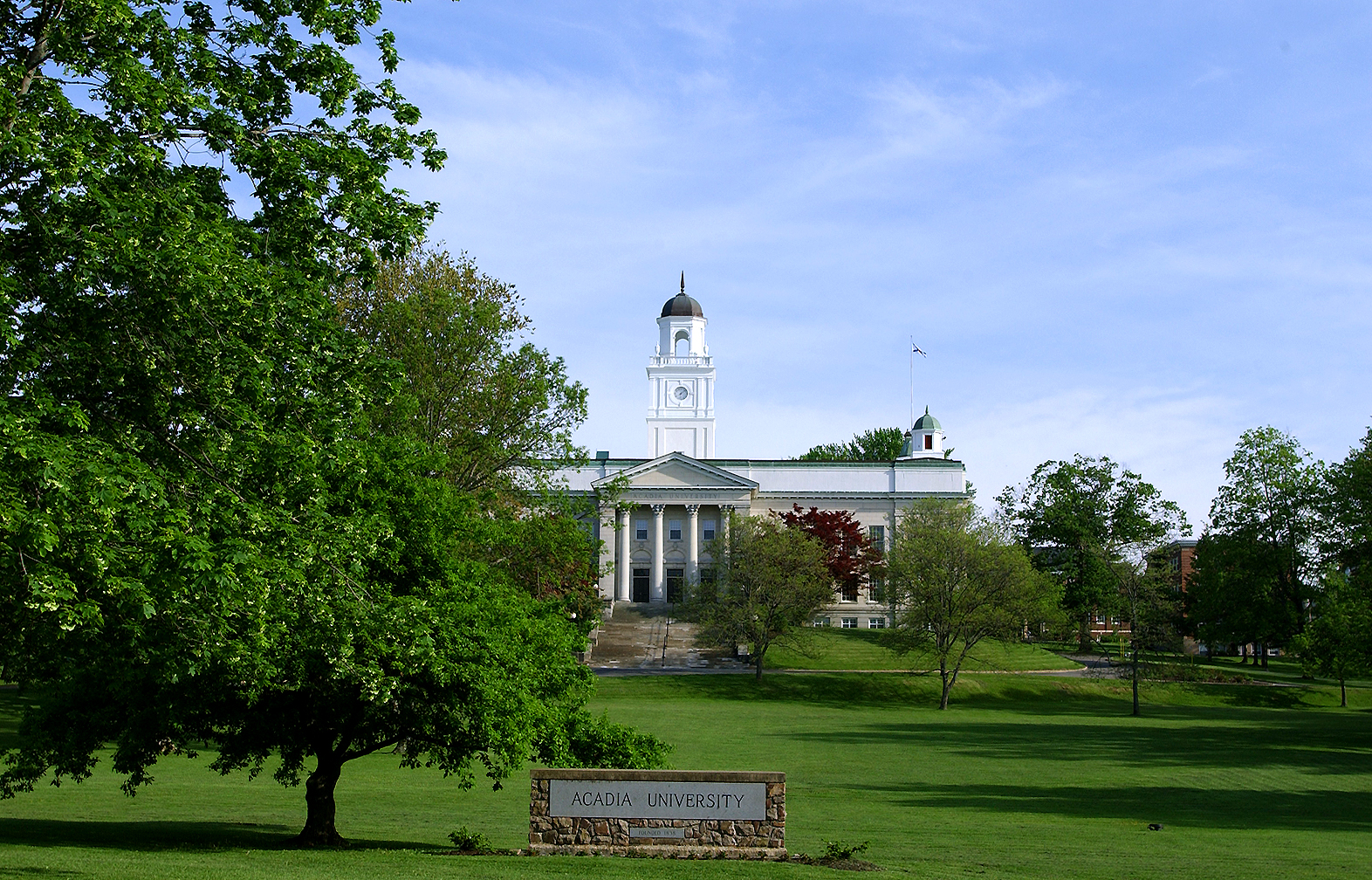 Decorative category image